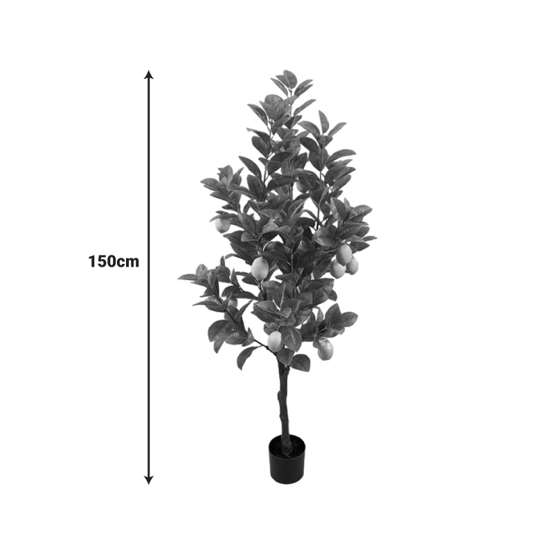 Διακοσμητικό φυτό Lemon tree σε γλάστρα Inart πράσινο pp Υ150εκ - Image 2